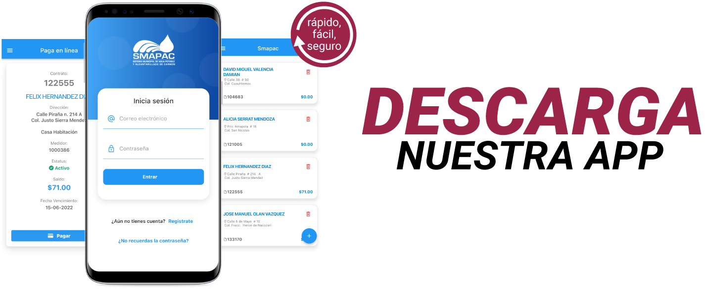 Pago Digital